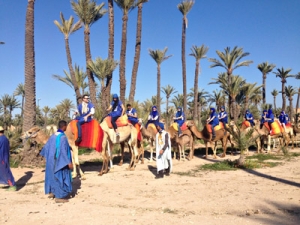 dromadaires marrakech