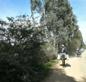 raid quad marrakech